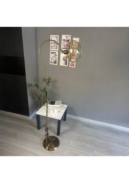 Solvia Cam Bal Rengi Soru Işareti Gövde Lambader Modern Oturma Odası Uyumlu fiyatları