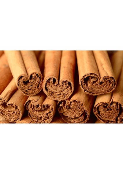 Seylan Tarçın modelleri