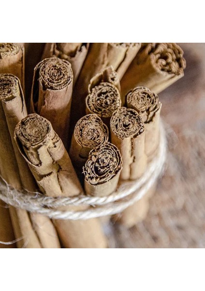 Seylan Tarçın fırsatları