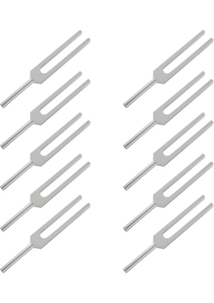 10X Dna Onarımı 528 Hz Ayar Çatalı (Yurt Dışından)