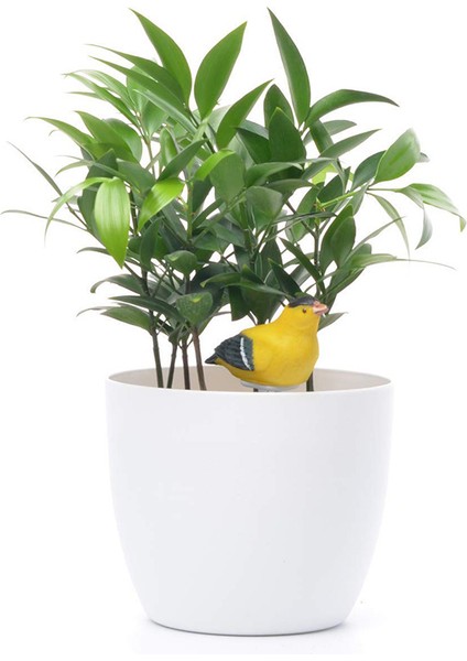 Toprak Nemi Ölçer Sulama Alarm Kuş Bitkisi Su Test Cihazı Higrometre Sensör Bahçecilik Aracı Kiti Ekici Su Için Savaşan Uyarıyı Hatırlayın (Sarı) (Yurt Dışından) indirimleri