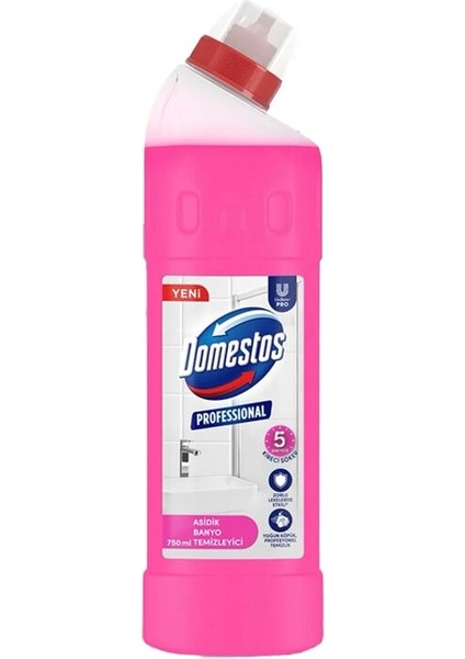 Pro Banyo Temizleyici 750 ml Koli 20 Adet