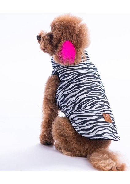 Lodwar Street Zebra Desen Yelek Köpek Yeleği Köpek Kıyafeti Köpek Yağmurluk