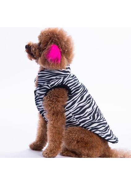 Lodwar Street Zebra Desen Yelek Köpek Yeleği Köpek Kıyafeti Köpek Yağmurluk fırsatları