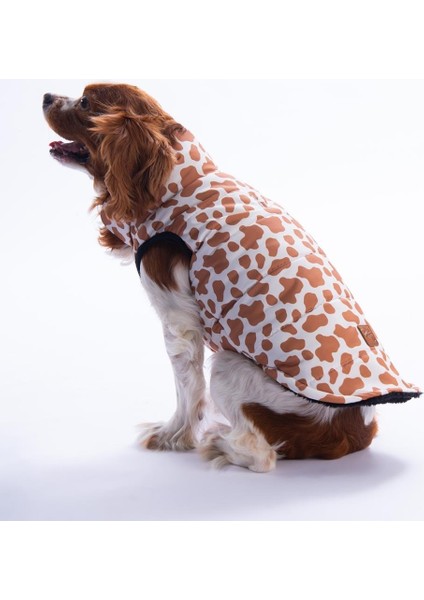 Moshi Mood Zürafa Desen Yelek Köpek Yeleği Köpek Kıyafeti Köpek Yağmurluk
