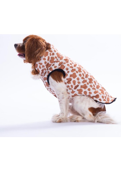 Moshi Mood Zürafa Desen Yelek Köpek Yeleği Köpek Kıyafeti Köpek Yağmurluk modelleri