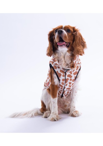 Moshi Mood Zürafa Desen Yelek Köpek Yeleği Köpek Kıyafeti Köpek Yağmurluk fırsatları