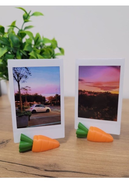 Havuç Model Fotoğraf Standı 3'lü