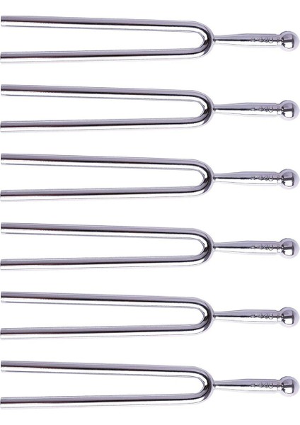 6x Yumuşak Kabuklu Kılıflı Çatal Standart A 440 Hz (Yurt Dışından)