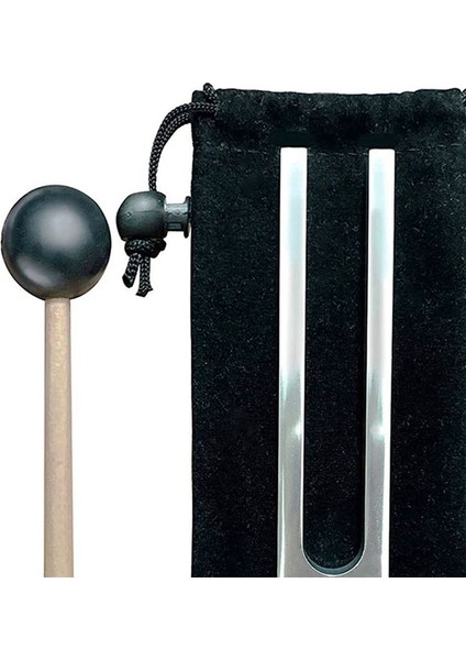 Onarım Için Sinir Sistemi Testi Onarım Için Set ile Tuning Fork Tuner (Yurt Dışından) modelleri