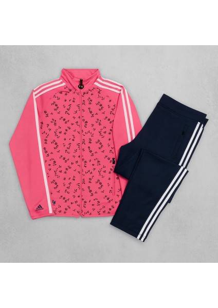 Kadın Fermuarlı Dalgıç Scuba Kumaş Yüksek Kaliteli Alt Üst Spor E modelleri