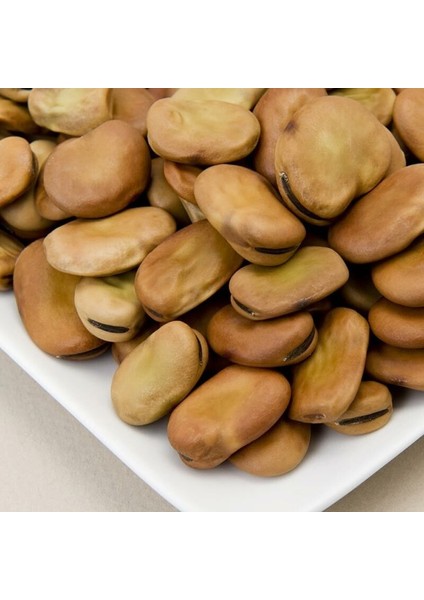 Sakız Bakla Tohumu Fava Beans Seeds modelleri
