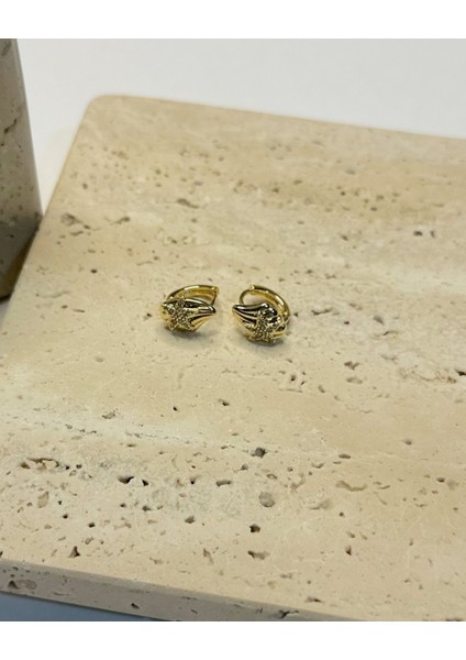 Mini Taşlı Deniz Kabuğu Küpe fırsatları