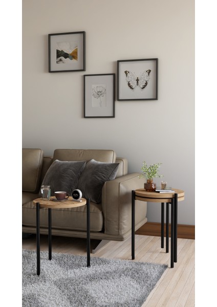 3'lü Yuvarlak Zigon Sehpa Seti | Metal Ayaklı Salon Oturma Odası Yan Sehpa - Kahve Sehpası fiyatları