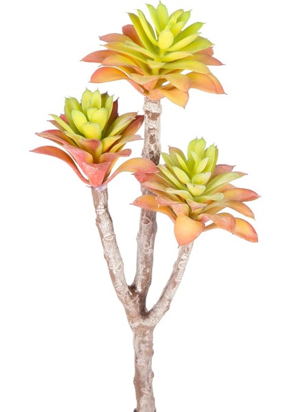 Yapay Kaktüs Sukulent Kırmızı/yeşil 35 cm