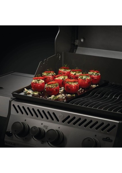 Iki Taraflı Emaye Kaplama Döküm Izgara - Rogue 365 fiyatları
