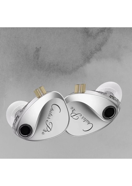 Castor Pro Harman Target Çift Sürücülü Hi-Fi Iem Kulaklık (Mikrofonsuz) fırsatları