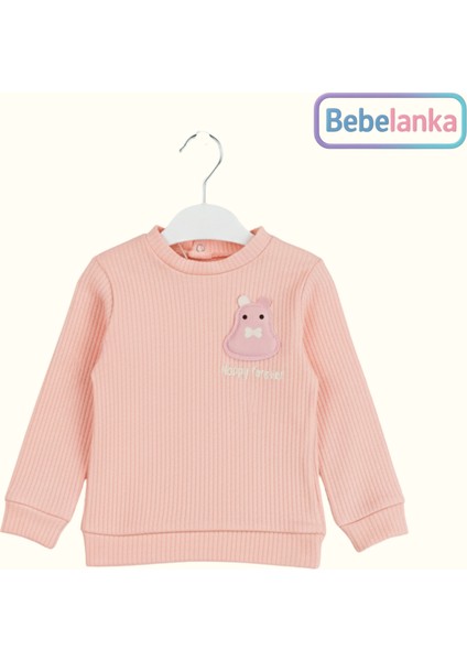 Kız Bebek %100 Pamuk Fitilli Ayıcık Nakışlı Pembe Pijama Takımı 2'li 265727 fiyatları