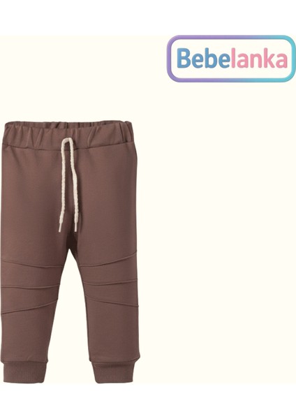 Erkek Çocuk Tatlı Dinozor Baskılı Raglan Kollu %100 Pamuk Sweatshirt ve Alt Eşofman Takımı 147653 modelleri