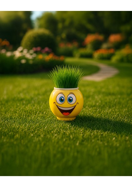 9050 Çim Adam Mini 31 Tokalı fiyatları