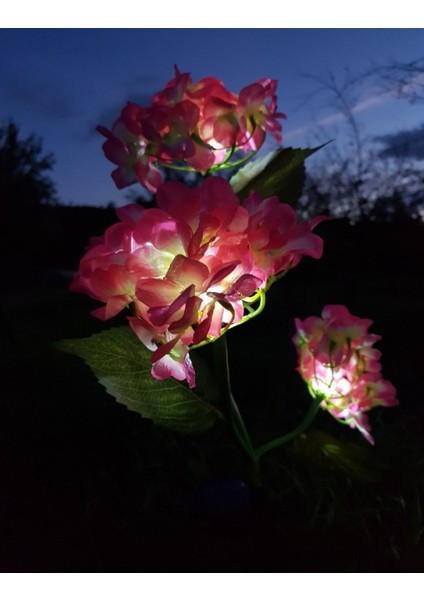 2 Adet Solar Güneş Enerjili Yapay Ortanca Çiçek Işık Peyzaj Bahçe Dekorasyon Aydınlatma Kazıklı LED fiyatları