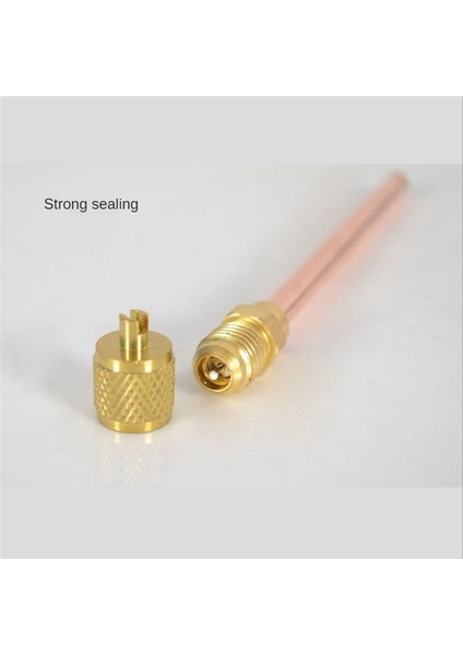 10 Adet Güçlü Çekirdekli Ac Klima Soğutma Erişim Vanası (Yurt Dışından) modelleri