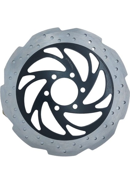 Bajaj Ns 200 Ön Disk E.s