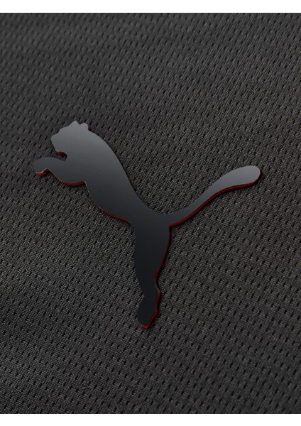 Galatasaray Puma Limited Edition Şort 78152212