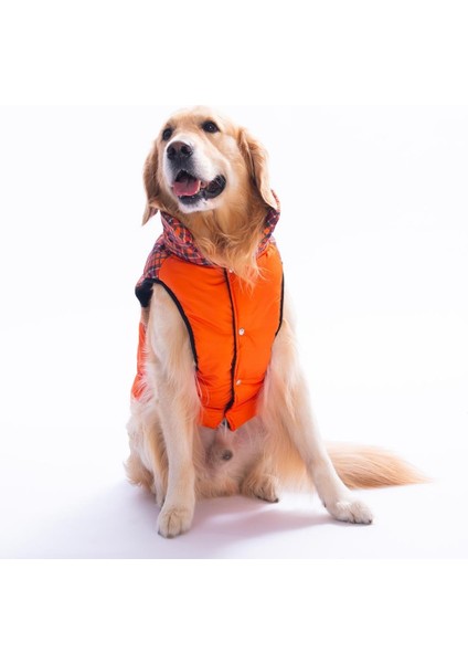 Turuncu Elgin Paws Ekose Desen Yelek Büyük Irk Köpek Yeleği Köpek Kıyafeti Köpek Yağmurluk fiyatları