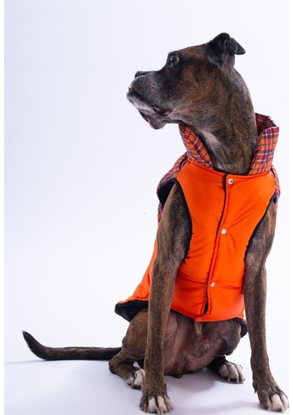 Turuncu Elgin Paws Ekose Desen Yelek Büyük Irk Köpek Yeleği Köpek Kıyafeti Köpek Yağmurluk fırsatları