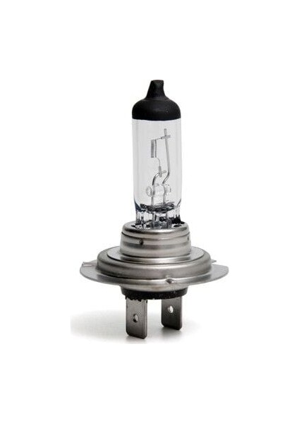 H7 Çift Tırnak Ampül