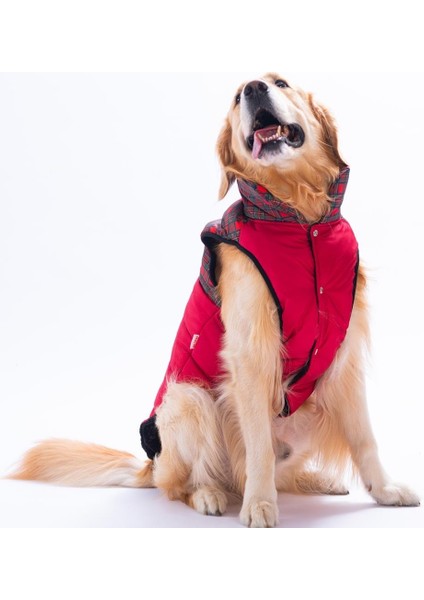 Kırmızı Elgin Paws Ekose Desen Yelek Büyük Irk Köpek Yeleği Köpek Kıyafeti Köpek Yağmurluk fırsatları