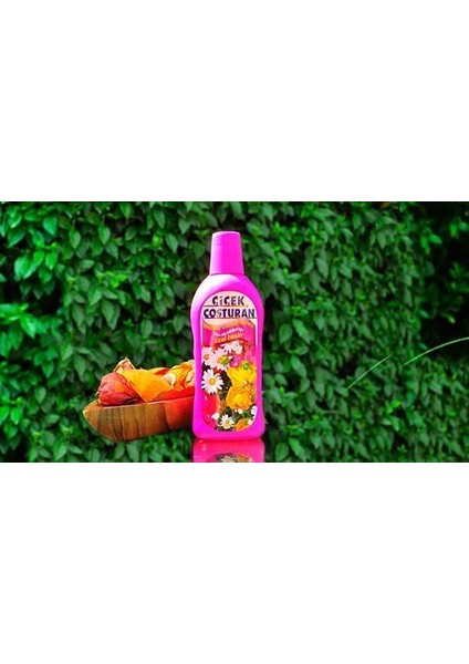 Tüm Süs Bitkileri Için Extra Canlandırıcı