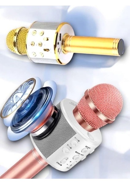 Bfs Kareoke Mıkrofon fiyatları