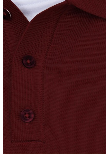 Erkek Standart Fit Normal Kesim Pamuklu Polo Yaka Bordo Kazak