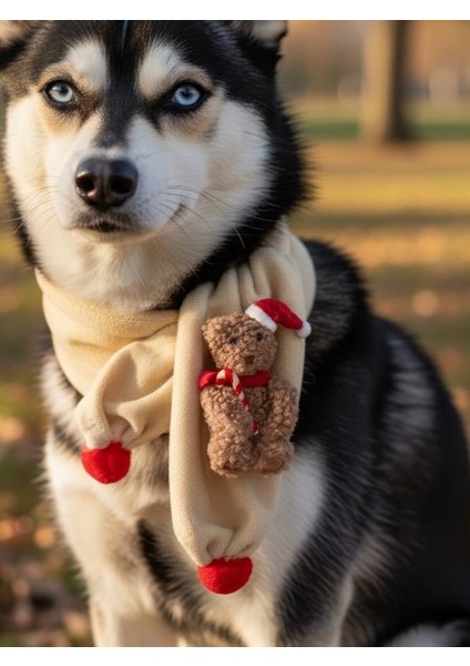 Teddy Santa Yılbaşı Köpek Atkısı | Polar Peluş Köpek Atkısı | Köpek Yılbaşı Aksesuarı | Orta ve Büyük Irklar Için indirimleri