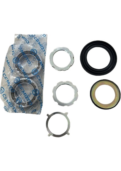 Cf Moto Nk Se 250 Furç Tk