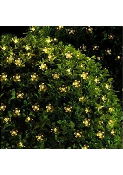 Solar 30 Ledli Çiçekli Günışığı Bahçe Aydınlatma Dekorasyon Güneş Enerjili fiyatları