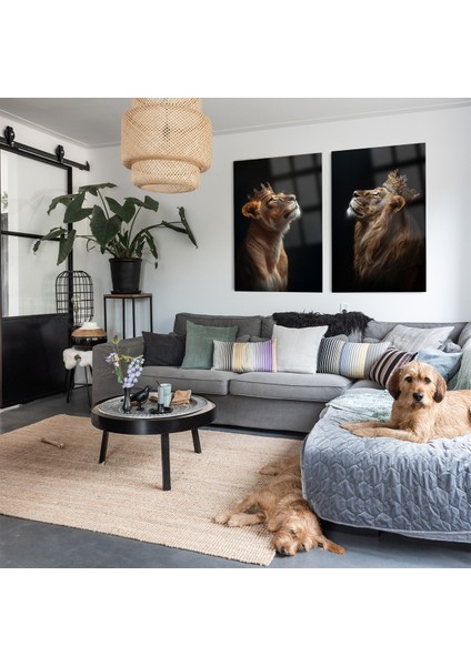 2 Parça Aslan Ailesi Kral Aslan ve Kraliçe Aslan Kırılmaz Cam Tablo Ev Hediyesi Iş Yeri Hediyesi fiyatları