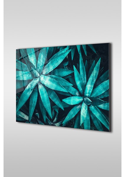 Muz Ağacı Yaprakları Yakın Çekim Yatay Cam Tablo