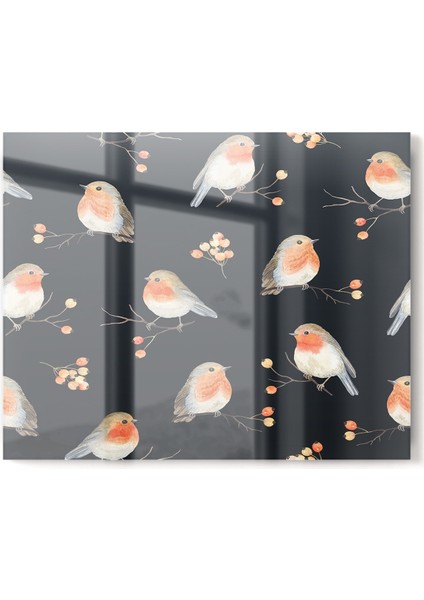 Premium Mutfak Cam Ocak Arkası Koruyucu Tezgah Ankastre Arkası Koruyucu | Kuşlar Siyah Turuncu fiyatları