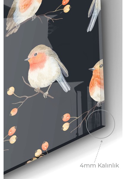 Premium Mutfak Cam Ocak Arkası Koruyucu Tezgah Ankastre Arkası Koruyucu | Kuşlar Siyah Turuncu modelleri