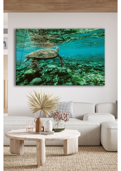 Deniz Kaplumbağası Cam Tablo indirimleri