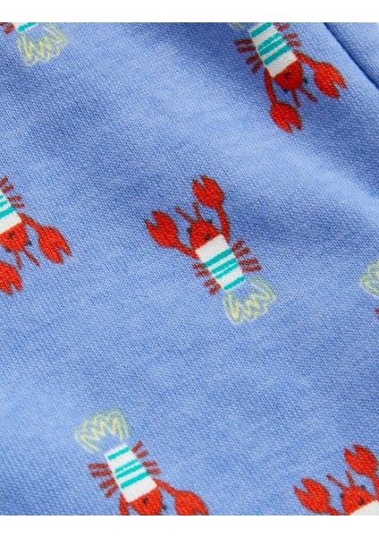 2'li Istakoz Desenli Takım (0-3 Yaş)