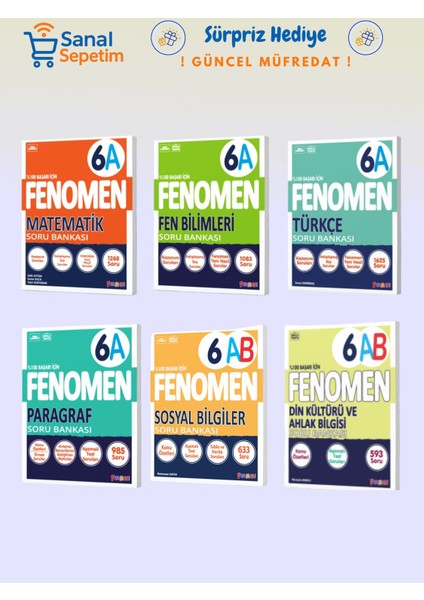 6. Sınıf Matematik + Fen B. + Türkçe + Paragraf + Sosyal B. + Din K. (A Set) Soru Bankaları