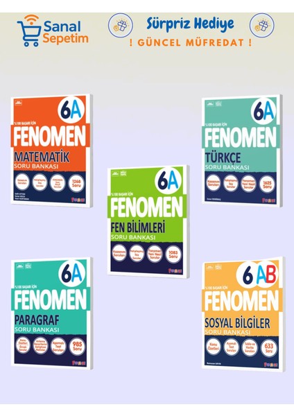 6. Sınıf Matematik + Fen Bilimleri + Türkçe + Paragraf + Sosyal Bilgiler (A Set) Soru Bankaları