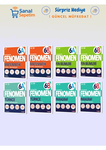 6. Sınıf Matematik + Fen Bilimleri + Türkçe + Paragraf (A ve B Set) Soru Bankaları