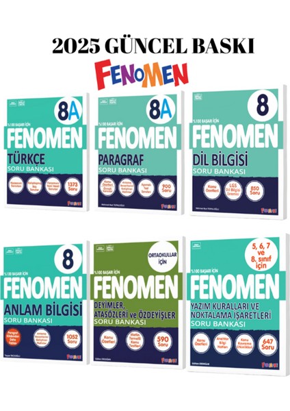 8.sınf Türkçe Süper Set 6 Kitap