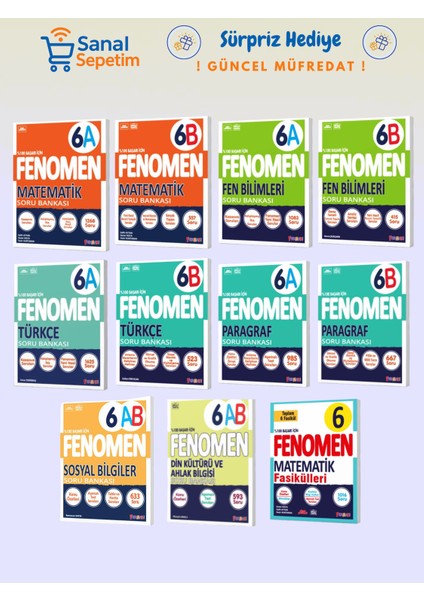 6. Sınıf Matematik + Fen B. + Türkçe + Paragraf + Sosyal B. + Din K. + Mat Fasikülleri (A ve B Set)