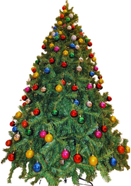 Yılbaşı Çam Ağacı 250 cm 1450 Dal modelleri